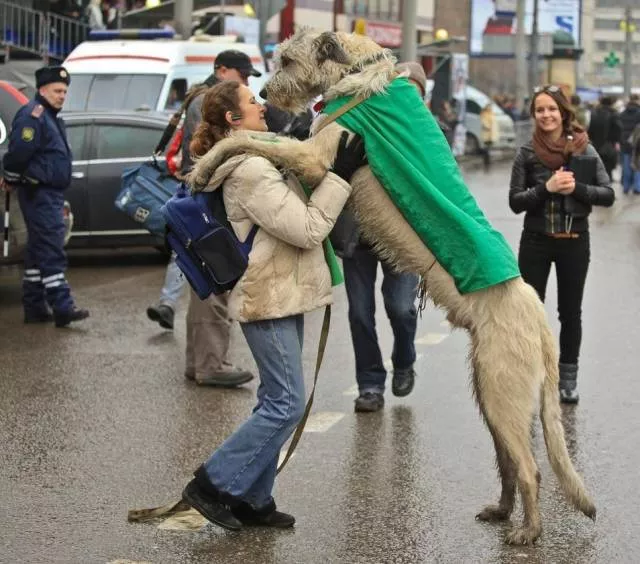 Images with 1000 senses and feelings - #62  Images with 1000 senses and feelings - #62