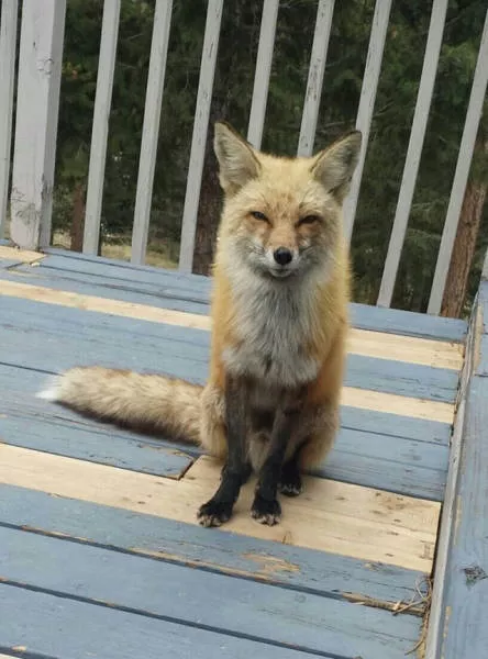 The terrible face of nature - #12 