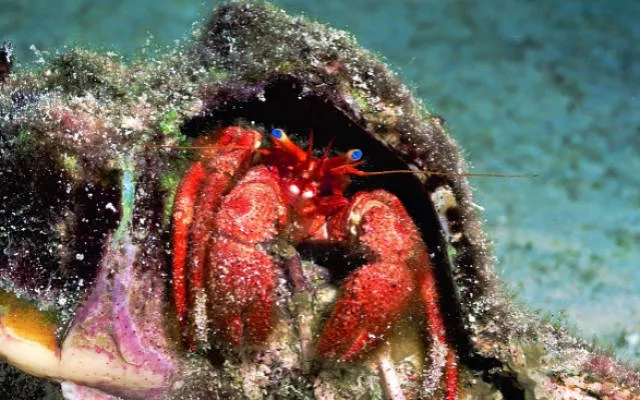 The terrible face of nature - #8 
