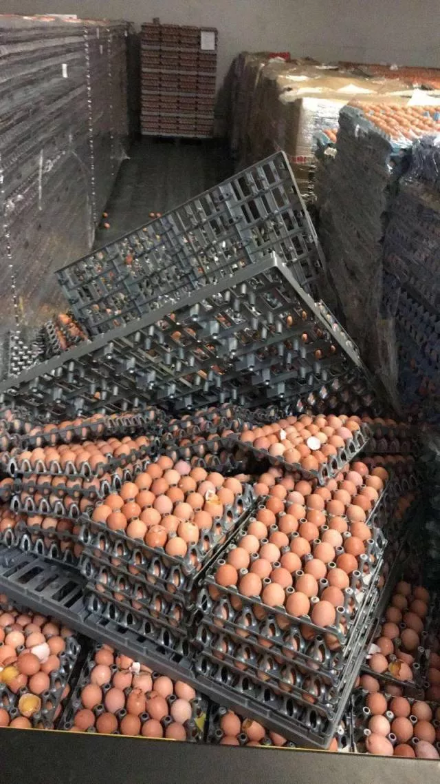 The worst - #45 The worst - #45