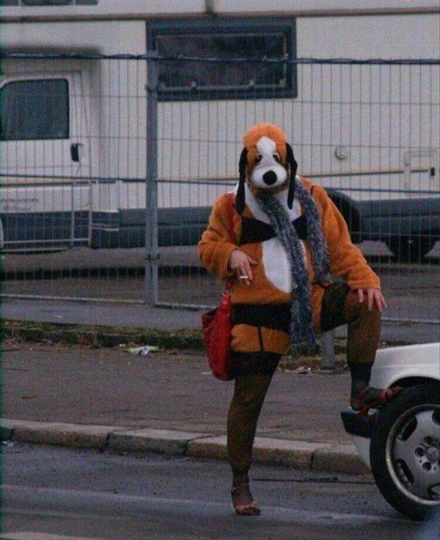 Picdump 498 - #12 