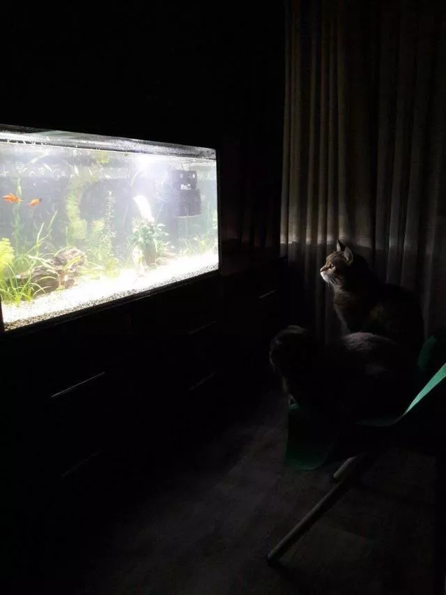 Picdump 498 - #17 