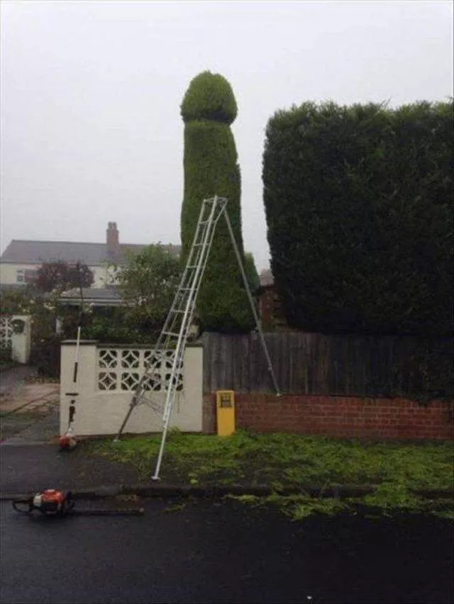 Picdump 498 - #34 