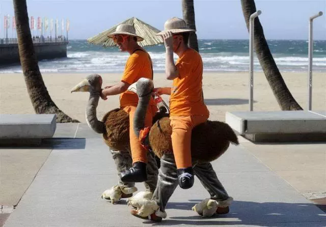 Picdump 498 - #48 