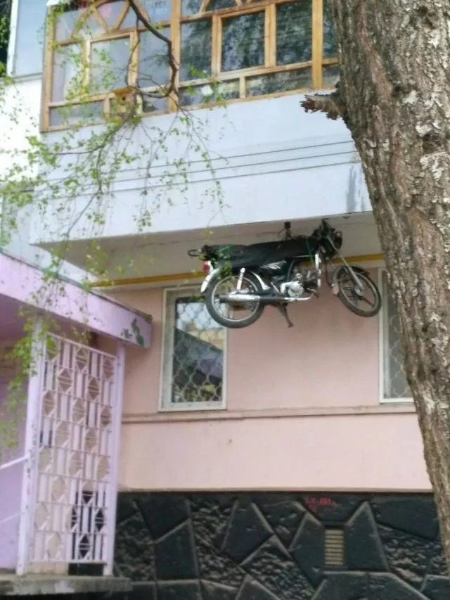 Picdump 498 - #52 