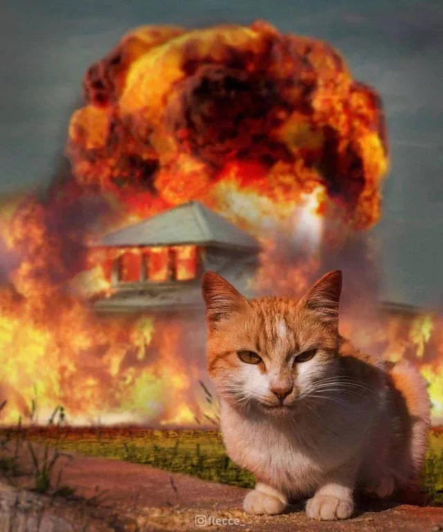 Picdump 498 - #59 