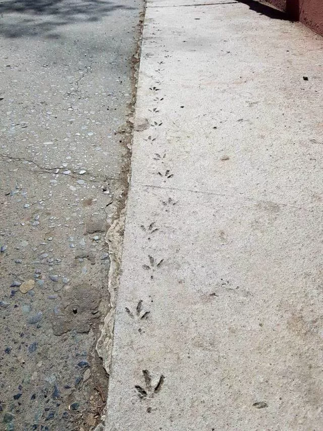 Picdump 498 - #66  Picdump 498 - #66