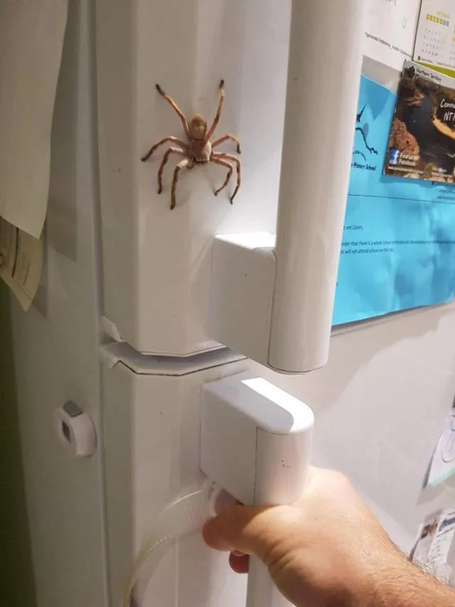 Picdump 498 - #7 
