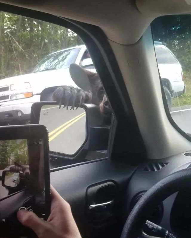 Picdump 498 - #71  Picdump 498 - #71