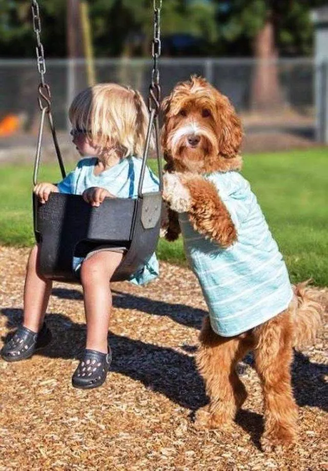 Picdump 498 - #9 