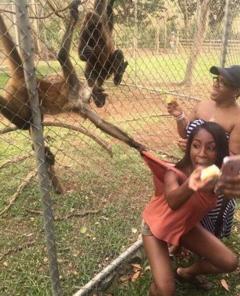 Picdump 86 - #1 