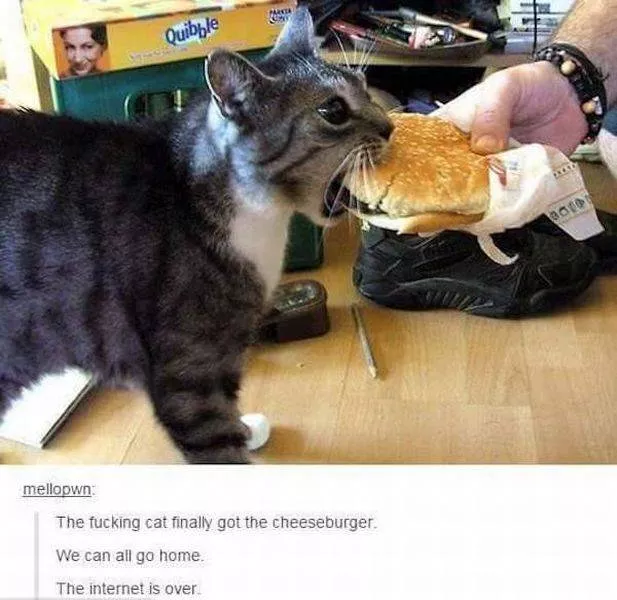 Picdump 86 - #16 