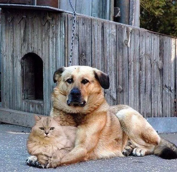 Picdump 86 - #22 