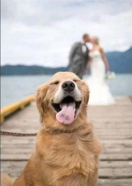 Picdump 86 - #23 