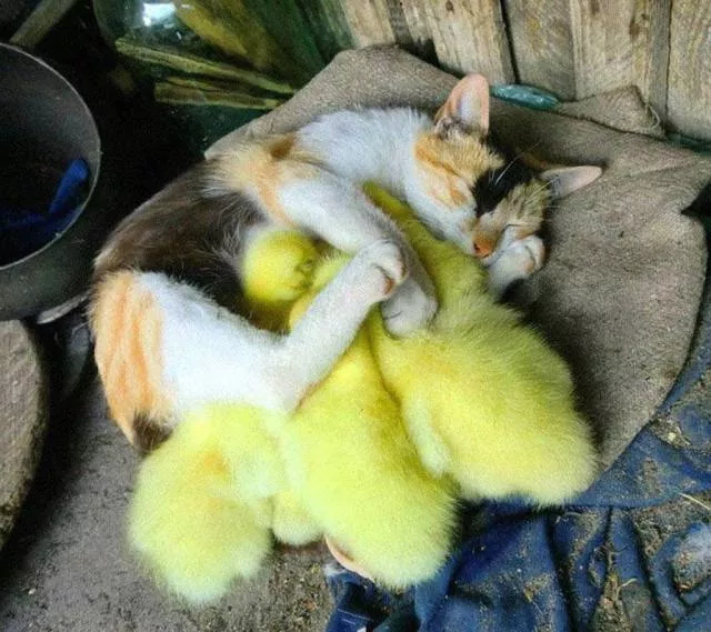 Picdump 86 - #28 