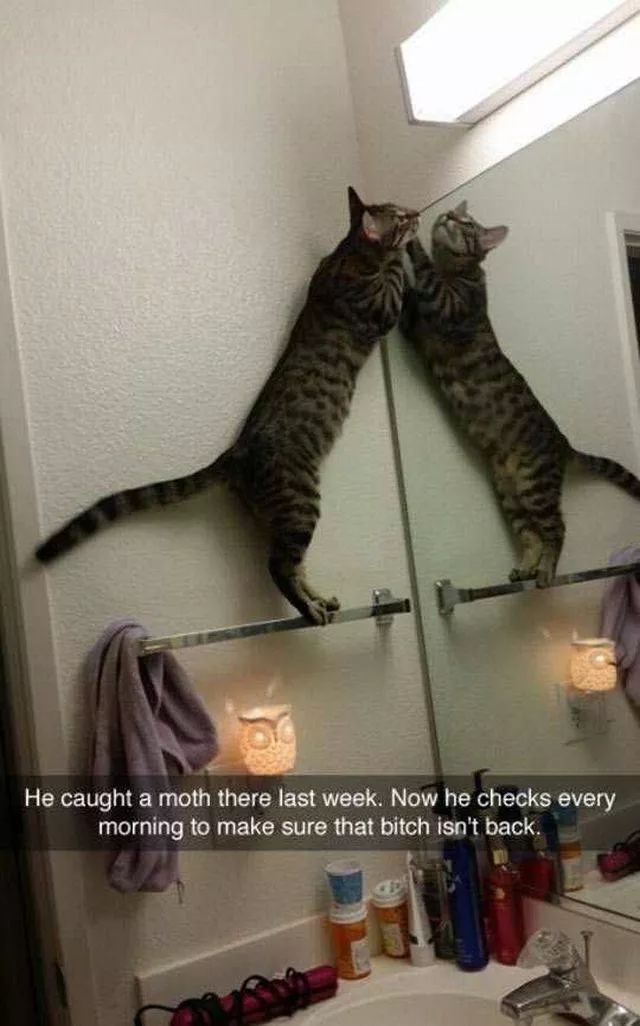 Picdump 86 - #30 