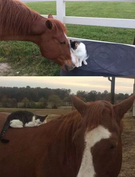 Picdump 86 - #44 