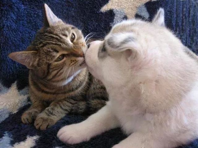 Picdump 86 - #45 