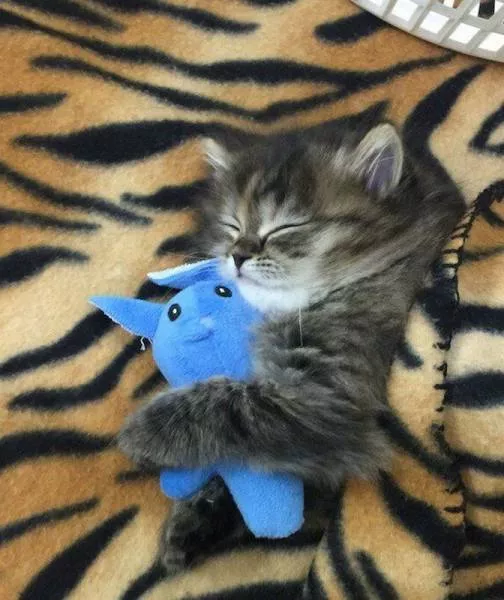 Picdump 86 - #6 