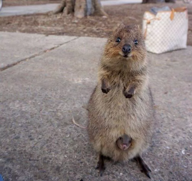Picdump 86 - #7 