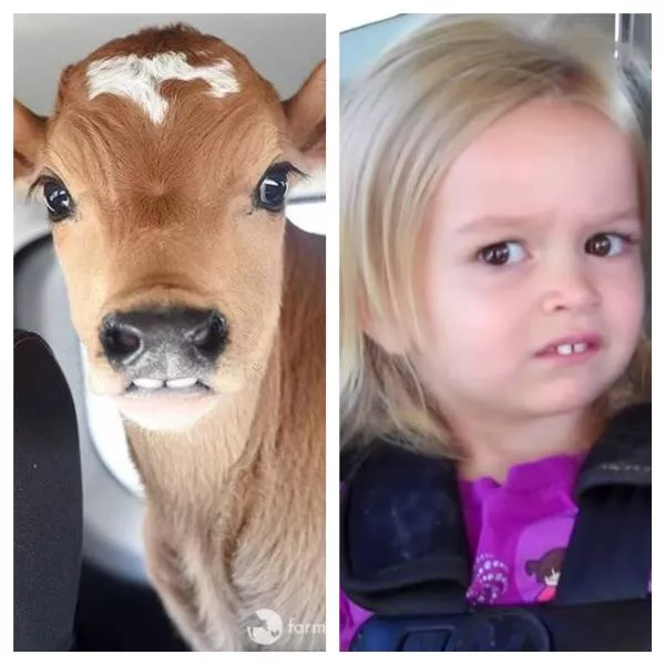 Picdump 499 - #39 