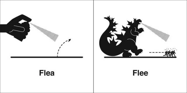 Many similarly sounding words with different meanings - #44 