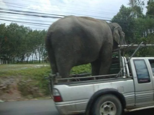 Quand le transport devient un probleme - #1 