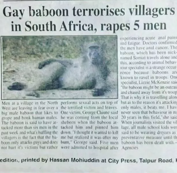 Picdump 500 - #11 