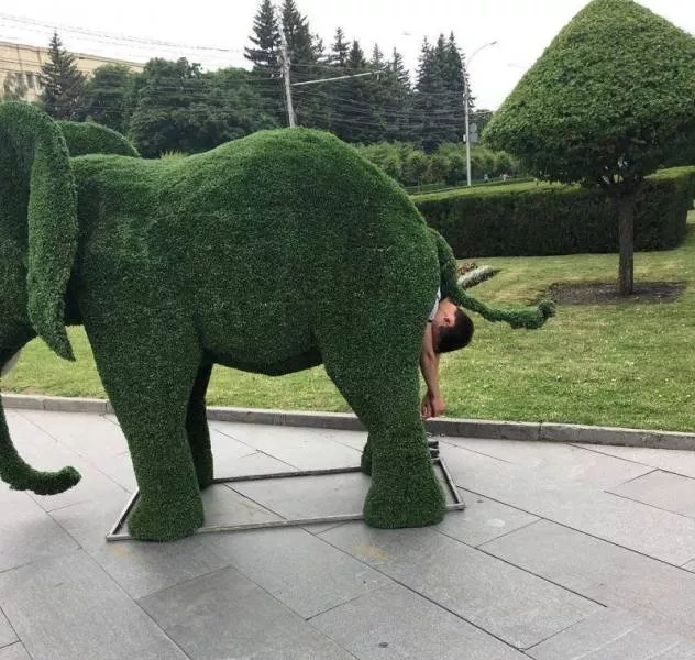 Picdump 500 - #7 