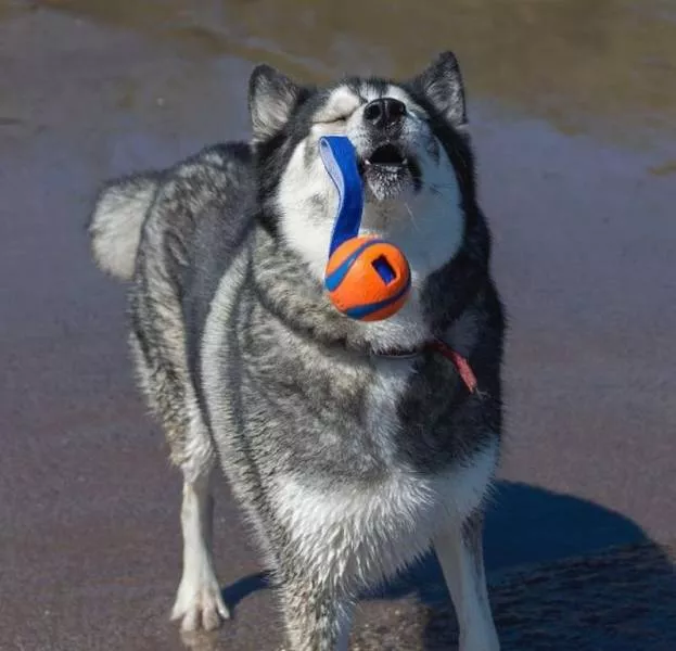 Picdump 500 - #8 