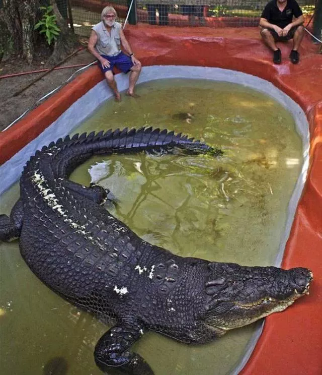 Picdump 500 - #91 Picdump 500 - #91