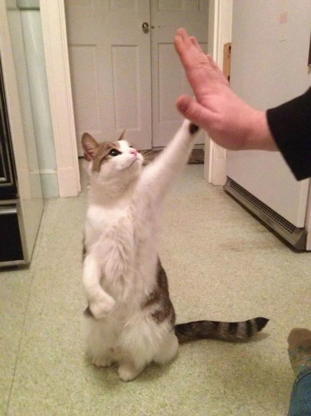 Picdump 501 - #12 