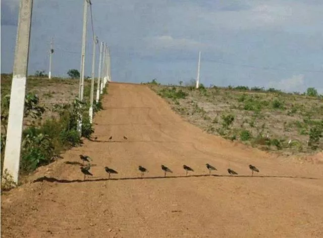 Picdump 501 - #19 