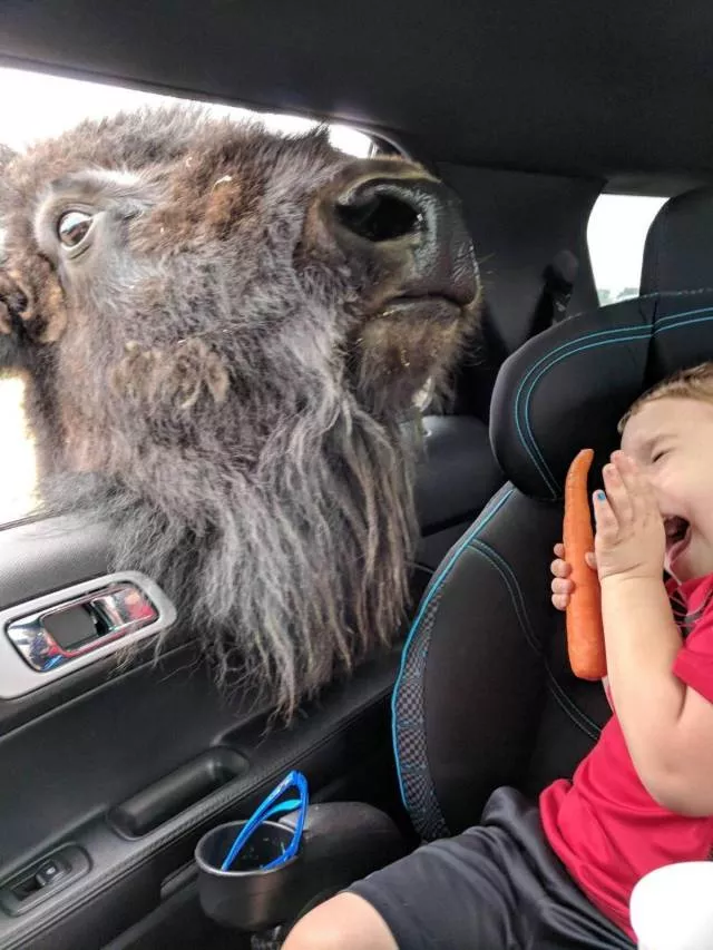 Picdump 501 - #30 