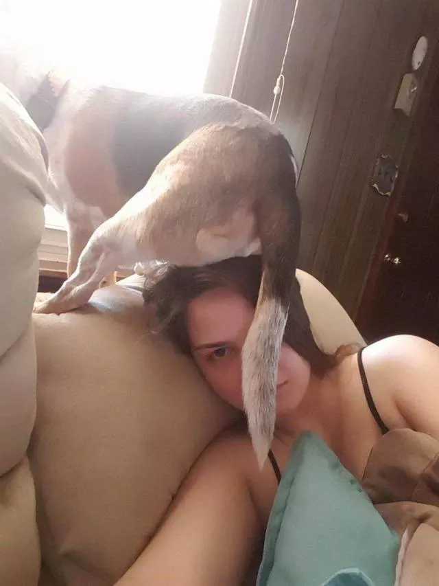 Picdump 501 - #33 