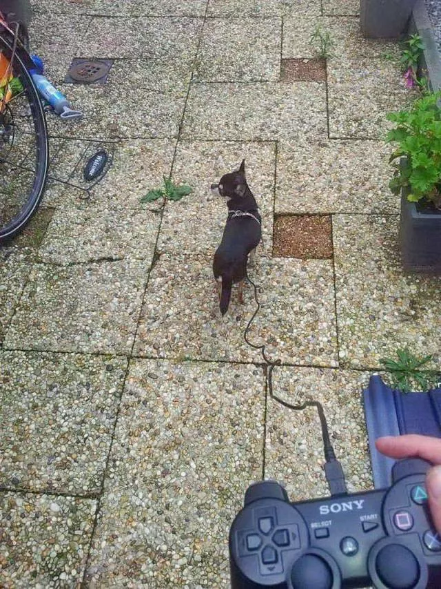 Picdump 501 - #34 