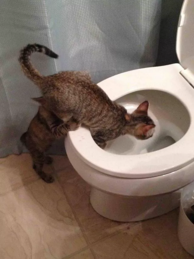Picdump 501 - #38 