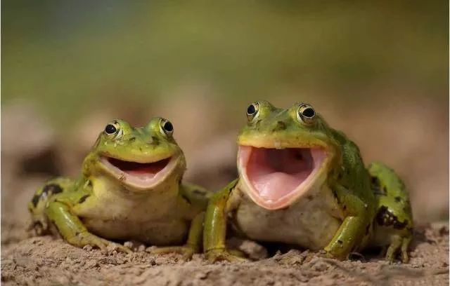 Picdump 501 - #47 