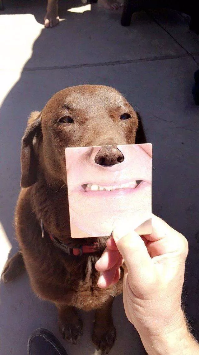 Picdump 501 - #53 