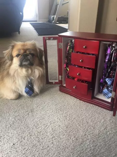 The most terrible pictures of the week - #41 