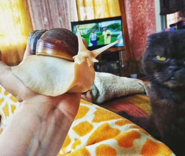 Picdump 502 - #21 
