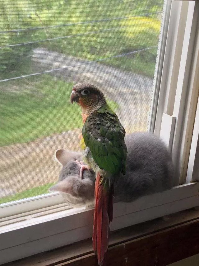 Picdump 502 - #26 
