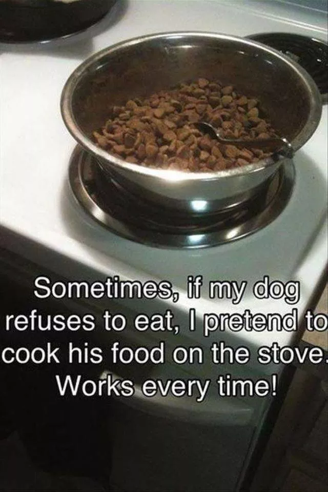 Picdump 502 - #29 