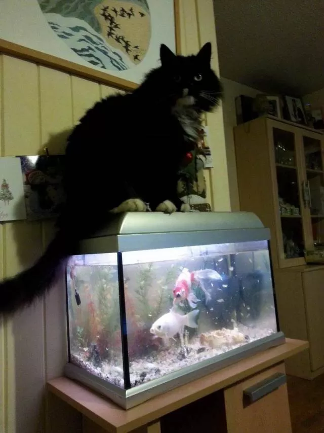 Picdump 502 - #43 