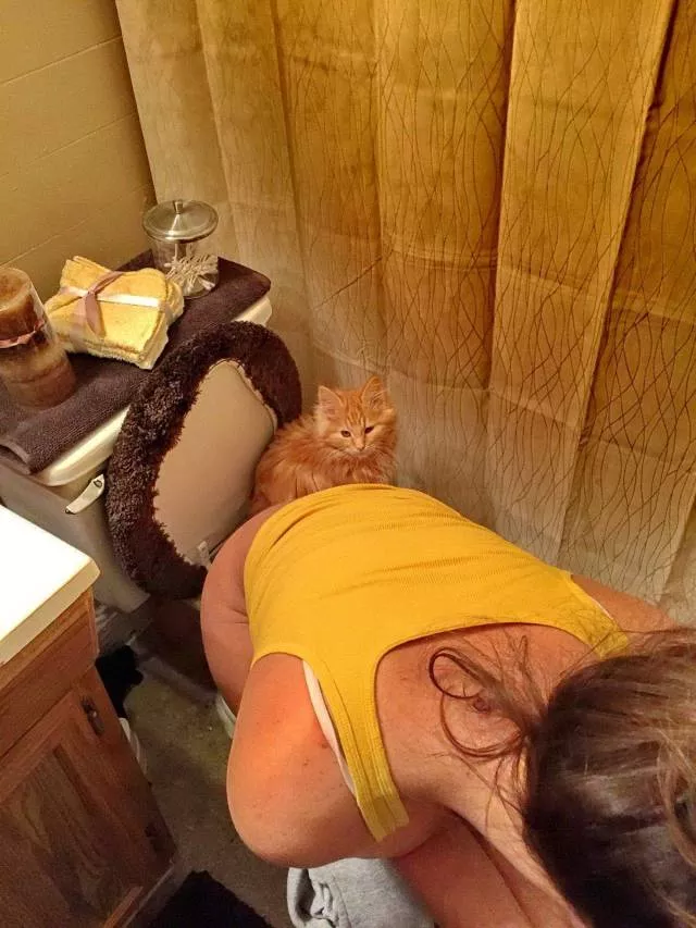 Picdump 502 - #50 