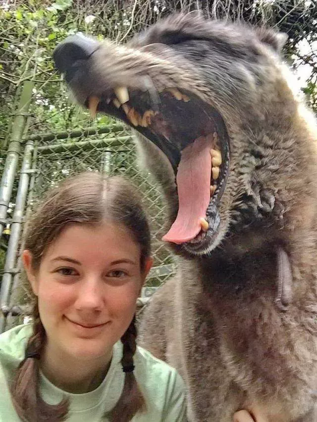 Picdump 502 - #51 