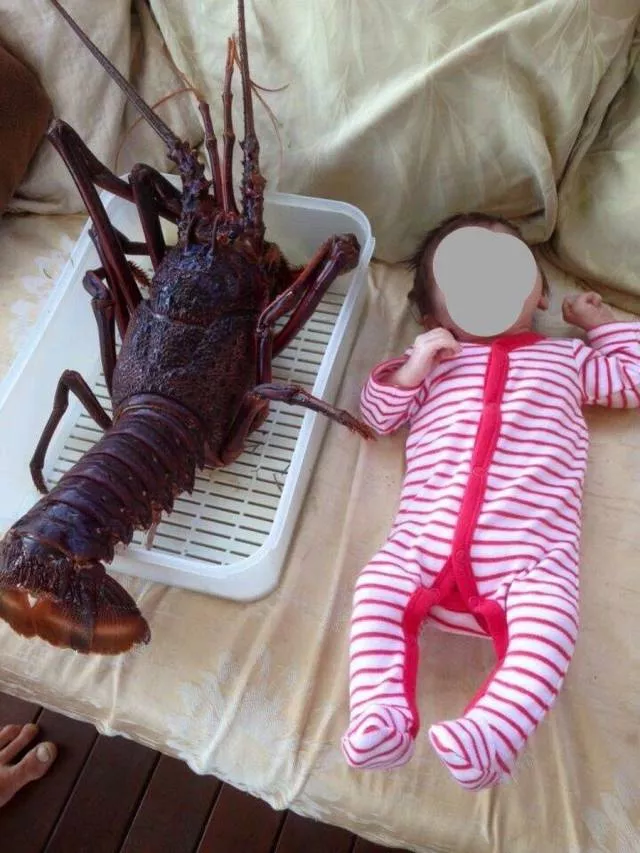 Picdump 502 - #52 