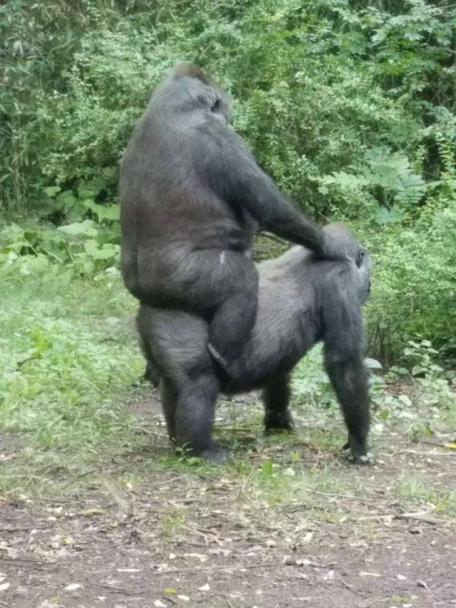 Picdump 502 - #57 
