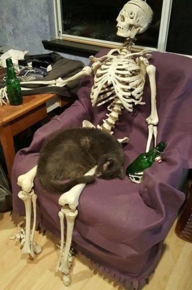 Picdump 502 - #67 