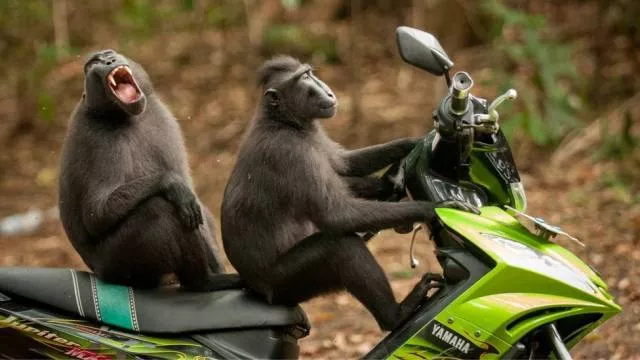 Picdump 502 - #68 
